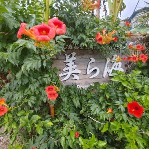 un cartel en un jardín con flores rojas en Izu Shirahama Guest House Churaumi, en Shimoda