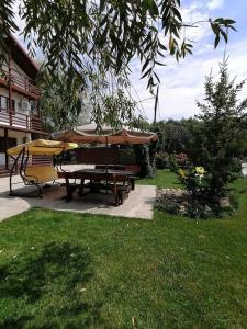un tavolo da picnic e un ombrellone in un cortile di Casa Carp Calarasi a Călăraşi