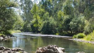 a river with rocks in the middle of a forest at King Edi Cottage in Edi