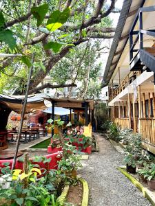 a garden with many plants and a building at Lazy Dog Bed & Breakfast in Boracay