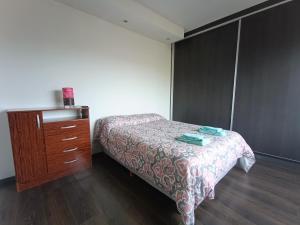 a small bedroom with a bed and a dresser at Apartamento entero - Ushuaia, Tierra del Fuego in Ushuaia