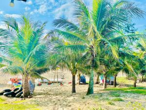 a group of palm trees on a sandy beach at Quan Lan Nam Phong Hotel in Quan Lạn +34 photos