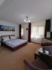 - une grande chambre avec un lit et deux chaises dans l'établissement Casa Carp Calarasi, à Călăraşi
