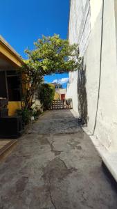 an alley with a tree and a building at Casa I`X in Quetzaltenango