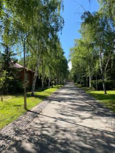 a tree lined road with a house in the distance at Guest House Regina in Bulan Sogottuu