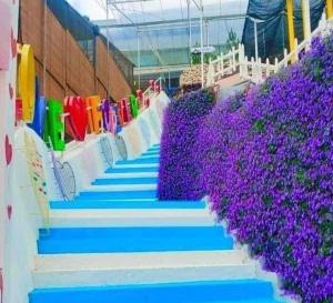 a set of blue stairs with purple flowers at Sweet Homestay 3RM @ Penthouse Apartment in Brinchang in Brinchang