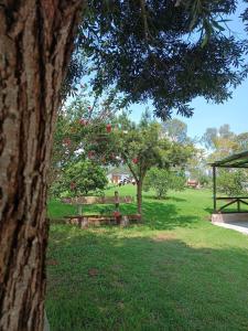 a park with a bench in the grass at Finca San Alejandro in Cotacachi