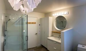 a bathroom with a shower and a sink and a mirror at Le Camp Caché Shefford in Shefford +37 photos