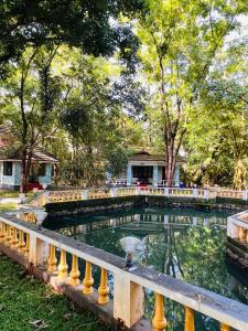 a pool of water in a park with trees at Surya Eco and Wedding Resort in Trichūr
