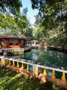 une piscine d'eau en face d'un bâtiment dans l'établissement Surya Eco and Wedding Resort, à Thrissur