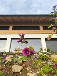 - un bouquet de fleurs violettes dans un jardin dans l'établissement BergChaletWeitblick, à Grainet