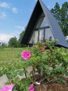 una casa con rosas rosas delante de ella en Rose Valley Cottage, en Ieriķi