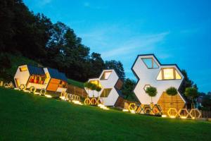 莫濟列的住宿－Honeycomb Chalets And Apartments Mozirje - Happy Rentals，一群房子坐在田野上