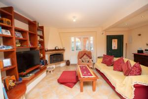 Μια τηλεόραση ή/και κέντρο ψυχαγωγίας στο Villa Sofia