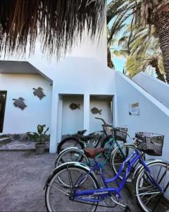 two bikes parked in front of a building at Casa Las Victorias in Loreto