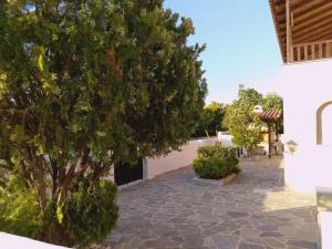 einen Innenhof mit einem Baum und einem Gebäude in der Unterkunft Explore Aegina Island in Souvala