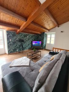 Televízia a/alebo spoločenská miestnosť v ubytovaní Le Bocage gîte 90m2 chaleureux à 4 min du Puy du Fou