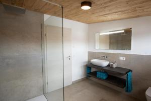 a bathroom with a sink and a glass shower at Alpinchalet in Pfronten