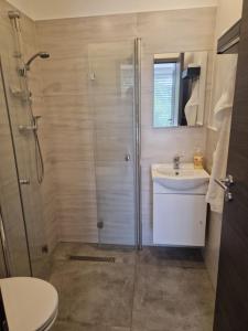 a bathroom with a shower and a sink and a toilet at Cona rooms in Cerkvenjak