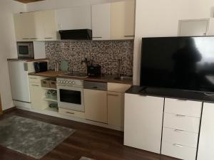 Kuchyň nebo kuchyňský kout v ubytování Apartment Boden