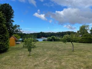 two trees in a field next to a lake at Loft am See in Dargun
