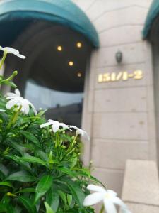 Felix Alley في مدينة هوشي منه: حوش مع زهور بيضاء أمام مبنى