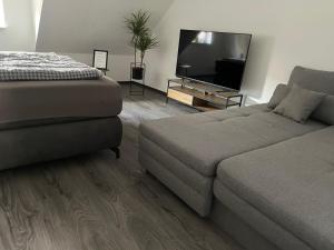TV a/nebo společenská místnost v ubytování SWID Appartement 9