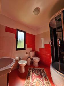 a red bathroom with two toilets and a sink at Casa Alba in Borşa +17 photos