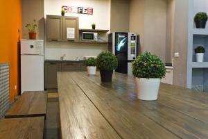 uma cozinha com três vasos de plantas sobre uma mesa de madeira em Youth Station Hostel em Roma