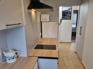 Il comprend une petite cuisine avec un comptoir et un réfrigérateur. dans l'établissement Apartament Olszewskiego, à Wrocław