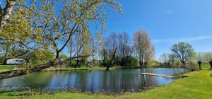 a pond with a boat in the middle of a park at Vakantiehuis voor 4 personen in Opheusden