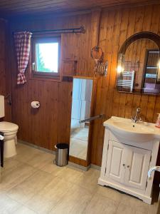 a bathroom with a shower and a sink and a toilet at Vedder's Berghütte in Herscheid