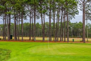 Golf v prázdninového domu nebo okolí