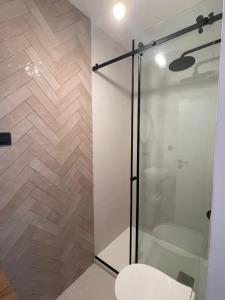 a glass shower in a bathroom with a toilet at Zadar Relax Apartment in Zadar