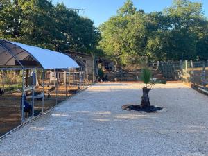 Un bolígrafo con un pequeño árbol en el medio. en La Ferme Des Vergnes, en Gabillou