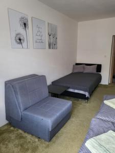 Posezení v ubytování Apartmán DANY Hanušovice
