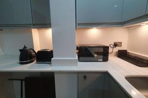 een keuken met een aanrecht met een broodrooster en een magnetron bij cosy 1-Bed Apartment in London Alexandra Palace in Londen