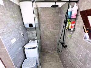 y baño pequeño con ducha y aseo. en Kuća za odmor DRAGA, en Lukovo Šugarje