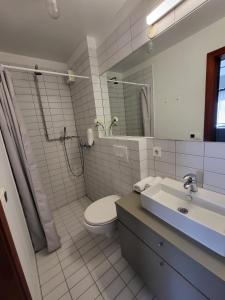 y baño con aseo, lavabo y ducha. en Astro Apartments en Reikiavik