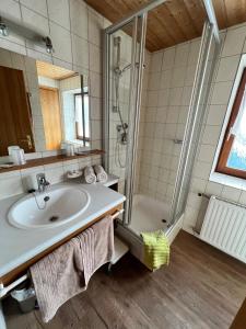 La salle de bains est pourvue d'un lavabo et d'une douche. dans l'établissement Haus Kneissl, à Seefeld in Tirol