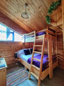 um quarto com um beliche num chalé de madeira em Nature's Nook - Norfolk Broads em Brundall
