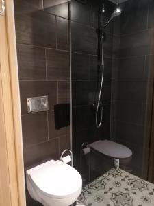 een kleine badkamer met een toilet en een douche bij City Center Holiday Apartments in Liepāja