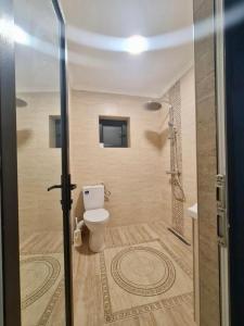 a bathroom with a toilet and a shower at Apartament Elysa in Eforie Sud