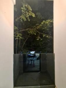 a reflection of a tree in a glass window at Apartament Elysa in Eforie Sud