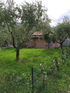 Φωτογραφία από το άλμπουμ του Casa Renatina σε Monte Isola