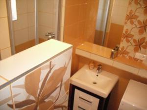 ein Badezimmer mit einem Waschbecken, einem WC und einem Spiegel in der Unterkunft Homestay Machom in Oščadnica