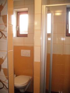 a bathroom with a toilet and a glass shower at Homestay Machom in Oščadnica