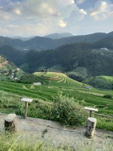 a view of a green hillside with two benches at See bungalow in Mù Cang Chải