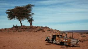 an old truck in the desert with a tree at Visitors camp in Mhamid