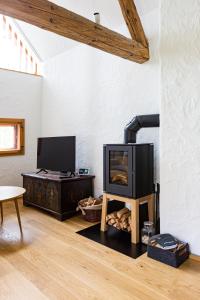 a living room with a fireplace and a tv at dieKELLERSTÖCKL - Das Rosenstöckl S22 mit Mini-Pool in Stainz